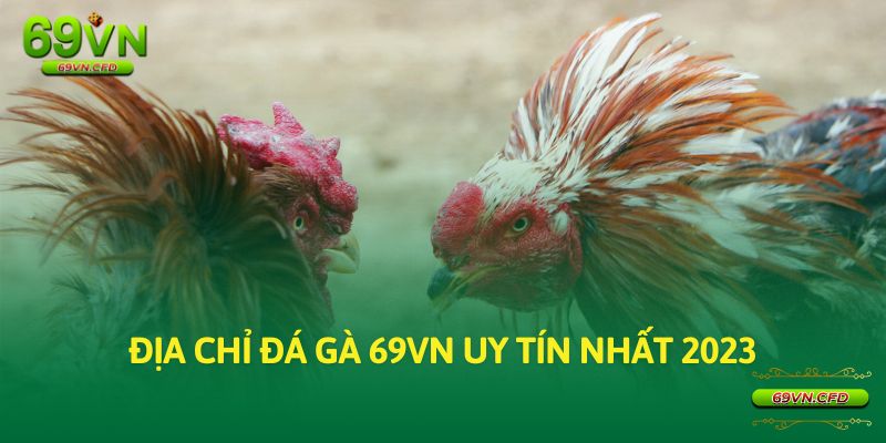 Địa chỉ đá gà 69VN uy tín nhất 2023