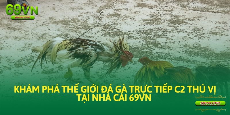 đá gà trực tiếp c2