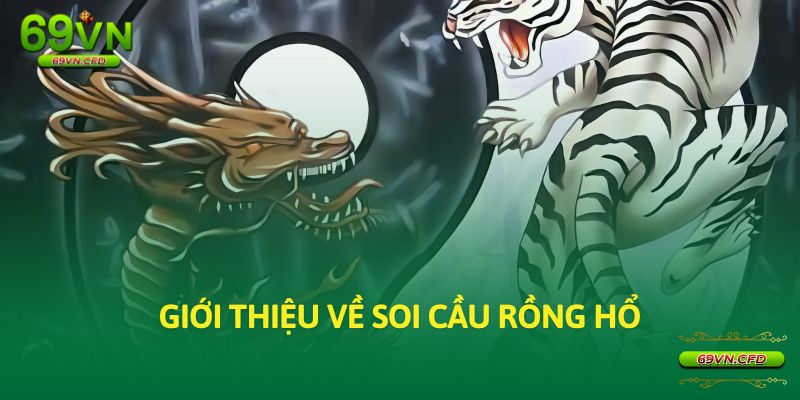 Giới thiệu về soi cầu rồng hổ