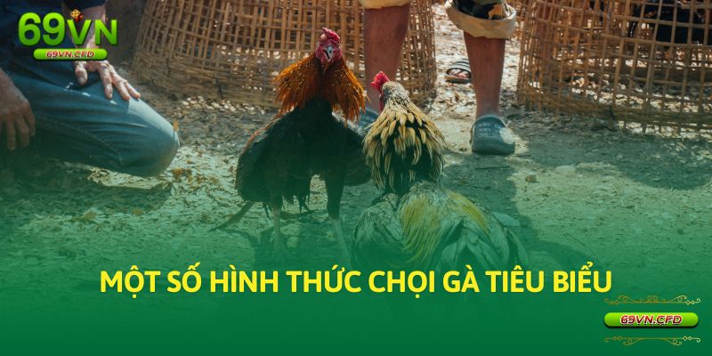 Một số hình thức chọi gà tiêu biểu