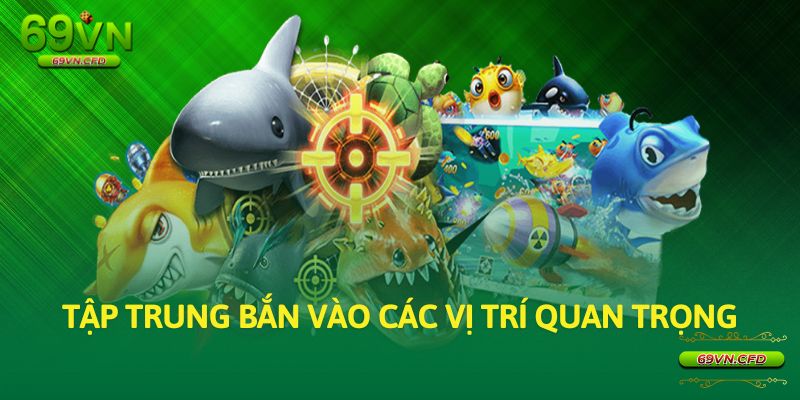 Tập trung bắn vào các vị trí quan trọng