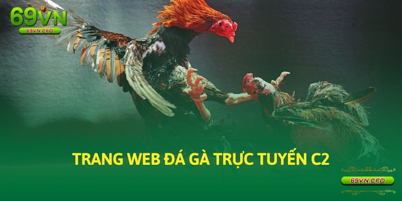 Trang web đá gà trực tuyến C2